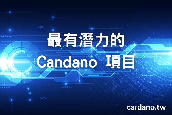 最有潛力的 Candano 項目 